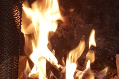 20190811_082922